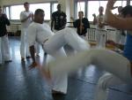 1-seminar-Contra-Mestre-Bola-Toronto-0009