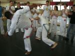 1-seminar-Contra-Mestre-Bola-Toronto-0014